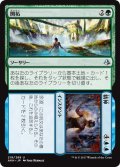 【JPN】開拓+精神/Spring+Mind[AKH_219U]