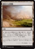 【JPN】進化する未開地/Evolving Wilds[AKH_242C]