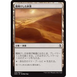 画像1: 【JPN】陽焼けした砂漠/Sunscorched Desert[AKH_249C]