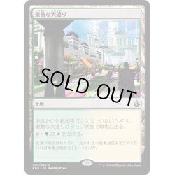 画像1: 【JPN】豪勢な大通り/Bountiful Promenade[MTG_BBD_081R]