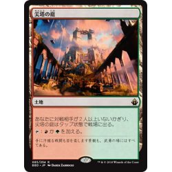 画像1: 【JPN】尖塔の庭/Spire Garden[MTG_BBD_085R]