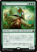 【JPN】活力/Vigor[MTG_BBD_215R]