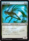 【JPN】水底の潜入者/Benthic Infiltrator[MTG_BFZ_055C]