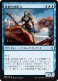 【JPN】風乗りの巡回兵/Windrider Patrol[MTG_BFZ_089U]