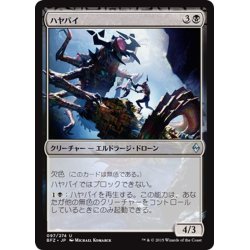 画像1: 【JPN】ハヤバイ/Skitterskin[MTG_BFZ_097U]