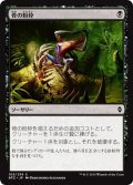 【JPN】骨の粉砕/Bone Splinters[MTG_BFZ_105C]