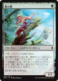 【JPN】膨れ鞘/Blisterpod[MTG_BFZ_163C]