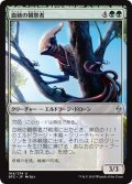 【JPN】血統の観察者/Brood Monitor[MTG_BFZ_164U]