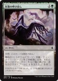 【JPN】末裔の呼び出し/Call the Scions[MTG_BFZ_165C]