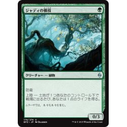 画像1: 【JPN】ジャディの横枝/Jaddi Offshoot[MTG_BFZ_176U]