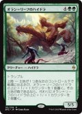 【JPN】オラン＝リーフのハイドラ/Oran-Rief Hydra[MTG_BFZ_181R]