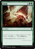 【JPN】回収蔦/Reclaiming Vines[MTG_BFZ_185C]