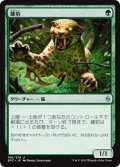 【JPN】鎌豹/Scythe Leopard[MTG_BFZ_188U]