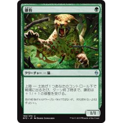 画像1: 【JPN】鎌豹/Scythe Leopard[MTG_BFZ_188U]