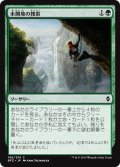 【JPN】未開地の捜索/Seek the Wilds[MTG_BFZ_189C]