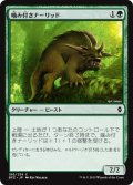 【JPN】噛み付きナーリッド/Snapping Gnarlid[MTG_BFZ_190C]