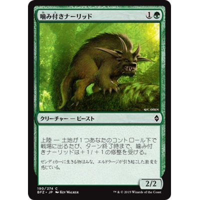 画像1: 【JPN】噛み付きナーリッド/Snapping Gnarlid[MTG_BFZ_190C]