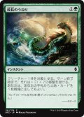 【JPN】成長のうねり/Swell of Growth[MTG_BFZ_191C]