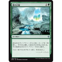 画像1: 【JPN】森の占術/Sylvan Scrying[MTG_BFZ_192U]