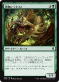 【JPN】領地のベイロス/Territorial Baloth[MTG_BFZ_196C]