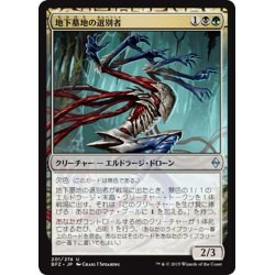 画像1: 【JPN】地下墓地の選別者/Catacomb Sifter[MTG_BFZ_201U]