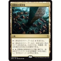 画像1: 【JPN】同盟者の宿営地/Ally Encampment[MTG_BFZ_228R]