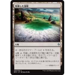 画像1: 【JPN】荒廃した湿原/Blighted Fen[MTG_BFZ_230U]