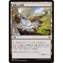 画像1: 【JPN】荒廃した草原/Blighted Steppe[MTG_BFZ_232U]