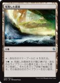 【JPN】荒廃した森林/Blighted Woodland[MTG_BFZ_233U]