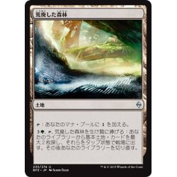 画像1: 【JPN】荒廃した森林/Blighted Woodland[MTG_BFZ_233U]