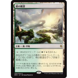 画像1: 【JPN】梢の眺望/Canopy Vista[MTG_BFZ_234R]