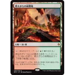 画像1: 【JPN】燃えがらの林間地/Cinder Glade[MTG_BFZ_235R]