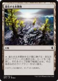 【JPN】進化する未開地/Evolving Wilds[MTG_BFZ_236C]