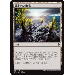 画像1: 【JPN】進化する未開地/Evolving Wilds[MTG_BFZ_236C]