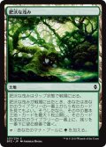 【JPN】肥沃な茂み/Fertile Thicket[MTG_BFZ_237C]