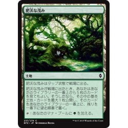 画像1: 【JPN】肥沃な茂み/Fertile Thicket[MTG_BFZ_237C]