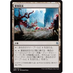 画像1: 【JPN】繁殖苗床/Spawning Bed[MTG_BFZ_248U]