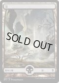 【JPN】沼/Swamp[MTG_BFZ_262L]