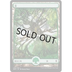 画像1: 【JPN】森/Forest[MTG_BFZ_273L]