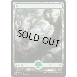 画像1: 【JPN】森/Forest[MTG_BFZ_274L]