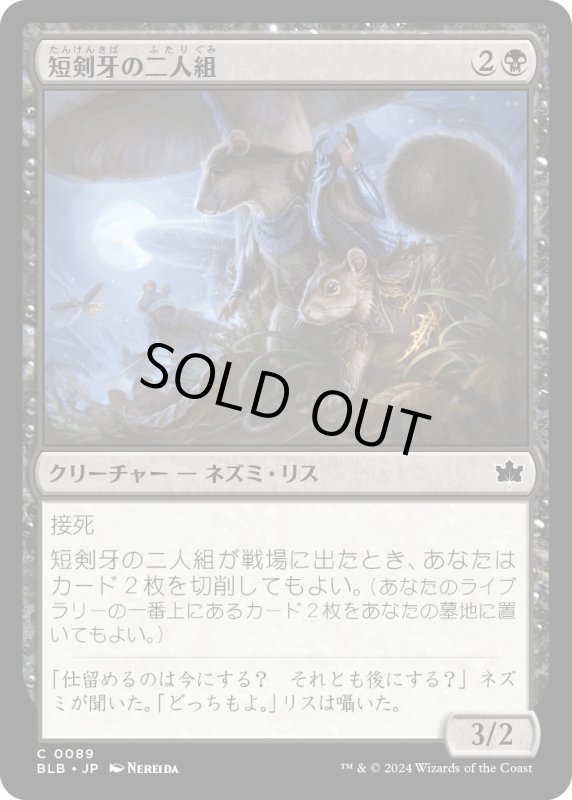 画像1: 【JPN】短剣牙の二人組/Daggerfang Duo [MTG_BLB_0089_C] (1)