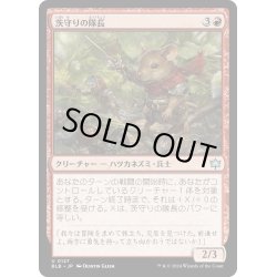 画像1: 【JPN】茨守りの隊長/Brambleguard Captain [MTG_BLB_0127_U]