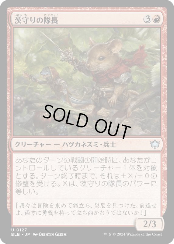 画像1: 【JPN】茨守りの隊長/Brambleguard Captain [MTG_BLB_0127_U] (1)