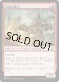 【JPN】厚顔な収集者/Brazen Collector [MTG_BLB_0128_U]