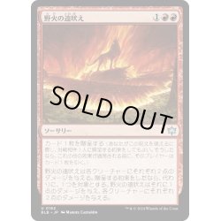 画像1: 【JPN】野火の遠吠え/Wildfire Howl [MTG_BLB_0162_U]