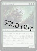 【JPN】茨守りの古参兵/Brambleguard Veteran [MTG_BLB_0165_U]