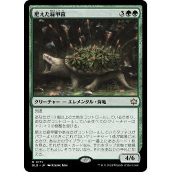 画像1: 【JPN】肥えた緑甲羅/Fecund Greenshell [MTG_BLB_0171_R]