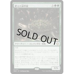 画像1: 【JPN】肥えた緑甲羅/Fecund Greenshell [MTG_BLB_0171_R]