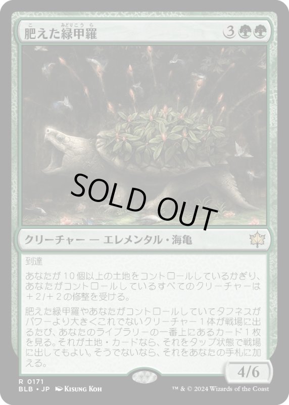 画像1: 【JPN】肥えた緑甲羅/Fecund Greenshell [MTG_BLB_0171_R] (1)