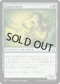 【JPN】危険根の薬草医/Hazardroot Herbalist [MTG_BLB_0174_U]